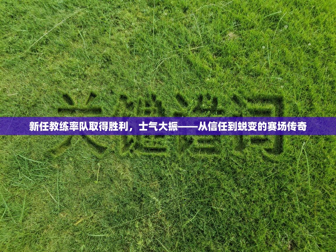 新任教练率队取得胜利,士气大振——从信任到蜕变的赛场传奇 第2张